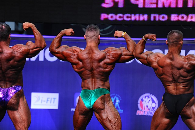 学校的代表 学校的代表